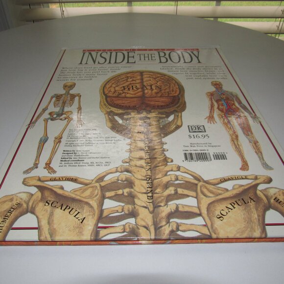 Inside the Body – DK Lift-the-Flap Human Anatomy Book by Giuliano Fornari - Picture 3 of 3